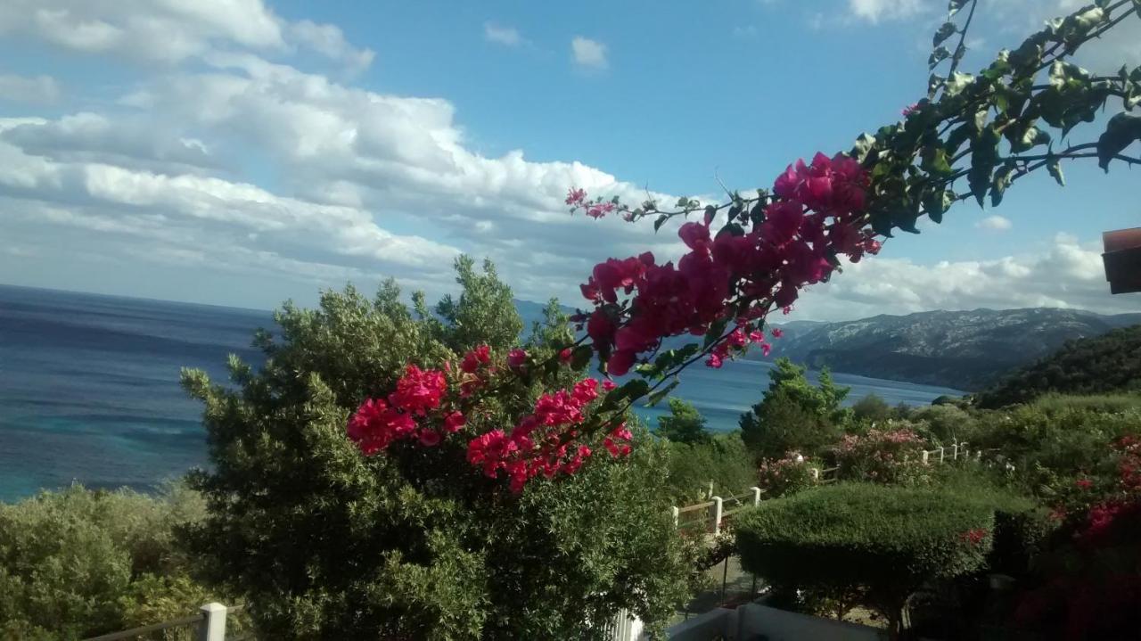 Independent Apartment With Spectacular View Cala Gonone Exteriör bild